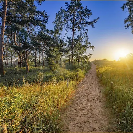 Martha 1 * ゼーバート・ヘリングスドルフ