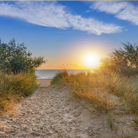 Martha 1 ゼーバート・ヘリングスドルフ